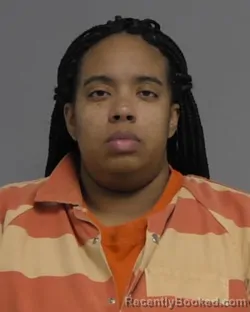 Recent Mugshot Image for SAMANTHA SERENE JONES in Nassau County, Florida