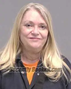 Recent Mugshot Image for HEATHER LYNN RILEY-PERRINO in Nassau County, Florida