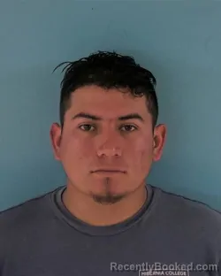 Recent Mugshot Image for RONY DAVID DE LOS REYES MARTINEZ in Okeechobee County, Florida