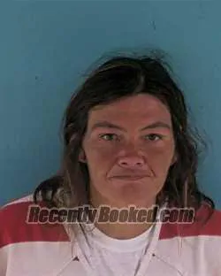 Recent Mugshot Image for AMANDA CHRISTINE GIBSON in Okeechobee County, Florida
