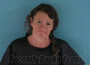 Recent Mugshot Image for ERICA JEAN POWERS HARRIS in Okeechobee County, Florida