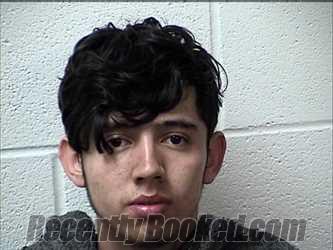 Recent Mugshot Image for DANI CHAVEZ-ORTIZ in Chase County, Kansas