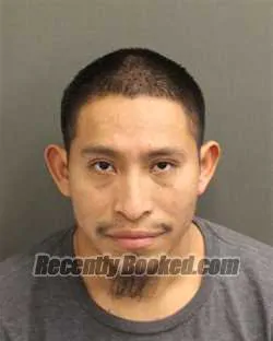 Recent Mugshot Image for DARINEL ISRAEL RAMIREZSALES in Orange County, Florida