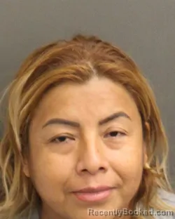 Recent Mugshot Image for PAULINA LOPEZMARTINEZ in Orange County, Florida