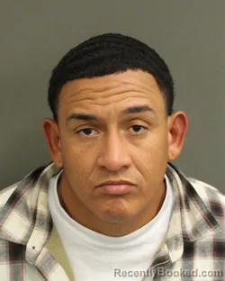 Recent Mugshot Image for JULIAN ARMAND ANDRADE in Orange County, Florida
