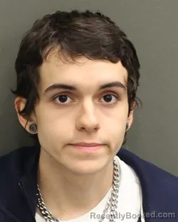 Recent Mugshot Image for EMERY ARISON WOODWORTH in Orange County, Florida