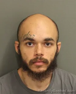 Recent Mugshot Image for JAMES MACKLIN in Orange County, Florida