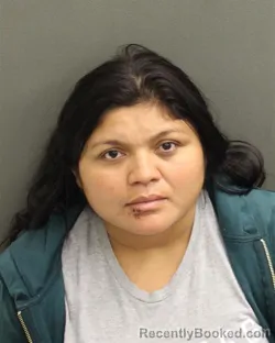 Recent Mugshot Image for ANA LUZ LOPEZGONZALEZ in Orange County, Florida