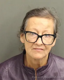 Recent Mugshot Image for DORIS MARIA CASTELLANOSDEMARTINE in Orange County, Florida