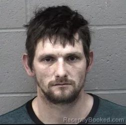 Recent Mugshot Image for LEVI ALEXANDER WIGGANS in Crawford County, Kansas