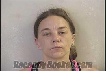 Recent Mugshot Image for APRIL ANN PRICE in Dickinson County, Kansas