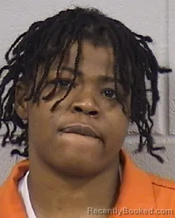 Recent Mugshot Image for NIKIEA MARIE HARTFIELD in Dickinson County, Kansas