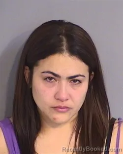 Recent Mugshot Image for VIANNY ROSADO-GRACIA in Osceola County, Florida