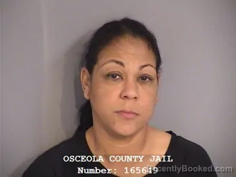 Recent Mugshot Image for JENNIFER ROMAN-ROSARIO in Osceola County, Florida