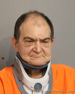 Recent Mugshot Image for JAMES PETER FOWLER in Osceola County, Florida