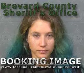 Recent Mugshot Image for ALISON ANNE SMITH in Brevard County, Florida