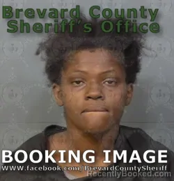 Recent Mugshot Image for MIKEL MARVIN BRIGHT in Brevard County, Florida