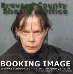 Recent Mugshot Image for Cynthia J Houfek in Brevard County, Florida