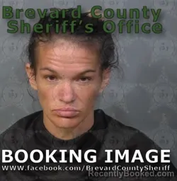 Recent Mugshot Image for Tracy Elizabeth Goodwin in Brevard County, Florida