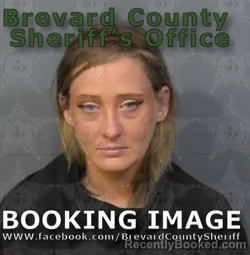 Recent Mugshot Image for Abbagail Lynn Gross in Brevard County, Florida