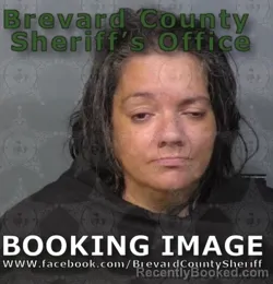 Recent Mugshot Image for Holly Marie Albert in Brevard County, Florida