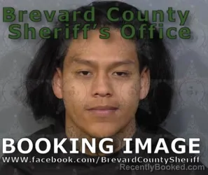 Recent Mugshot Image for OLIVER ESTIVEN TOWER in Brevard County, Florida