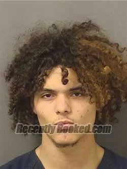 Recent Mugshot Image for DALANI MILLSON in Palm Beach County, Florida
