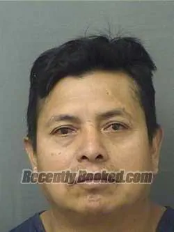 Recent Mugshot Image for DOMINGO GUZMANCRUZ in Palm Beach County, Florida