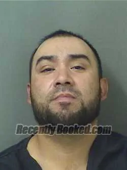 Recent Mugshot Image for OSVALDO DELUNA in Palm Beach County, Florida