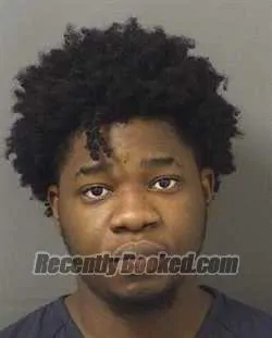 Recent Mugshot Image for MARC KERRY JULIEN in Palm Beach County, Florida