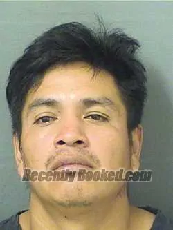 Recent Mugshot Image for JOSELUIS PELICOGUOX in Palm Beach County, Florida