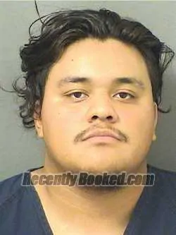 Recent Mugshot Image for JOSHUA EMMANUEL CERVERA in Palm Beach County, Florida