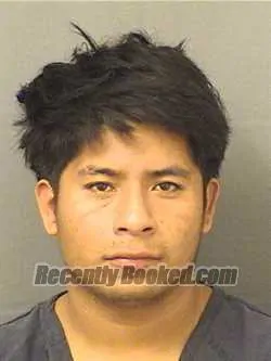 Recent Mugshot Image for FELIPE RIGOBERTOSOBO in Palm Beach County, Florida