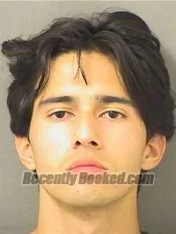 Recent Mugshot Image for BENJAMIN LUIS FLORES in Palm Beach County, Florida