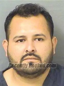 Recent Mugshot Image for ELUVY SOLORZANOZAMORANO in Palm Beach County, Florida