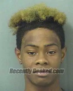 Recent Mugshot Image for ROLAND D Jr MCCRAY in Palm Beach County, Florida