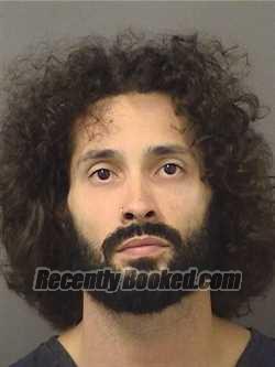 Recent Mugshot Image for MASON SCOTT STILLWAGON in Palm Beach County, Florida