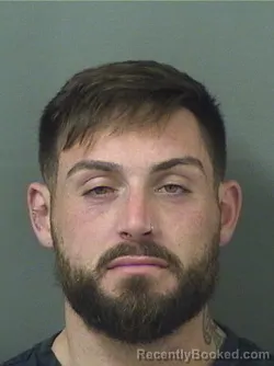 Recent Mugshot Image for LOGAN STEELE RENEAU in Palm Beach County, Florida
