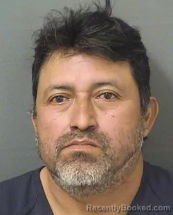 Recent Mugshot Image for DOMINGO ANDRESJUAN in Palm Beach County, Florida