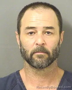 Recent Mugshot Image for DAVID N LASSITER in Palm Beach County, Florida