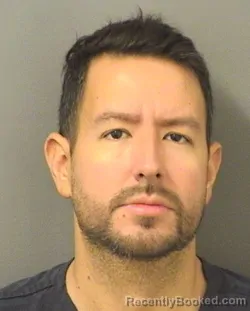 Recent Mugshot Image for DAVID A SALIT in Palm Beach County, Florida