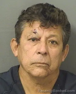 Recent Mugshot Image for CARLOS LOPEZSOTO in Palm Beach County, Florida