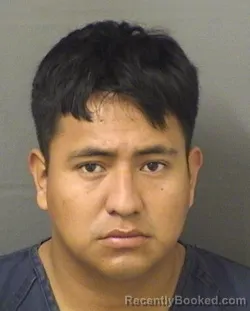 Recent Mugshot Image for BYRON BRAEL FRANCISCORAMON in Palm Beach County, Florida