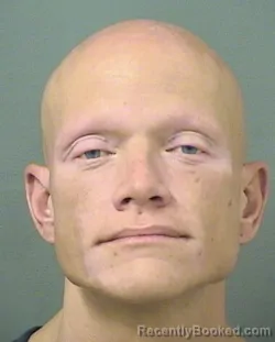 Recent Mugshot Image for DAVID BLUE MORROW in Palm Beach County, Florida