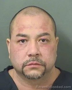 Recent Mugshot Image for JOSEPH MICHAEL MOLOS in Palm Beach County, Florida