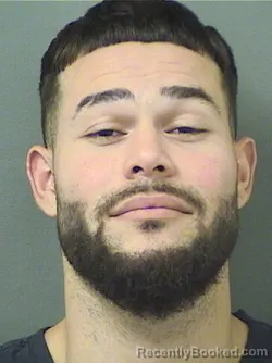 Recent Mugshot Image for JOSE ALBERTO HERNANDEZRAMOS in Palm Beach County, Florida