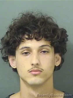 Recent Mugshot Image for AIDAN CONSTANTINE LAPKIN in Palm Beach County, Florida