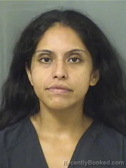 Recent Mugshot Image for MIRANDA GALINDO in Palm Beach County, Florida