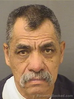 Recent Mugshot Image for ROSENSO VIRVETE in Palm Beach County, Florida