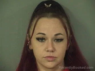 Recent Mugshot Image for AMBER NICOLE POTTER in Palm Beach County, Florida
